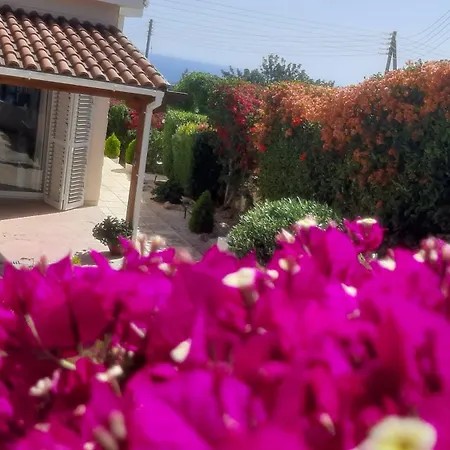 Holiday: Seafront Retreat With Pool In Paphos Peyia