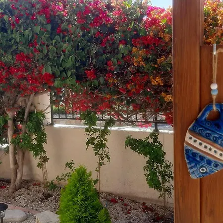 Holiday: Seafront Retreat With Pool In Paphos Villa