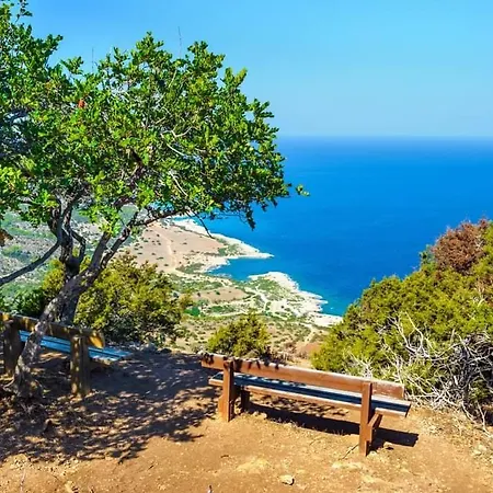 Holiday: Seafront Retreat With Pool In Paphos *