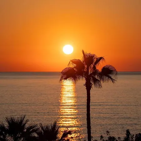 Holiday: Seafront Retreat With Pool In Paphos *