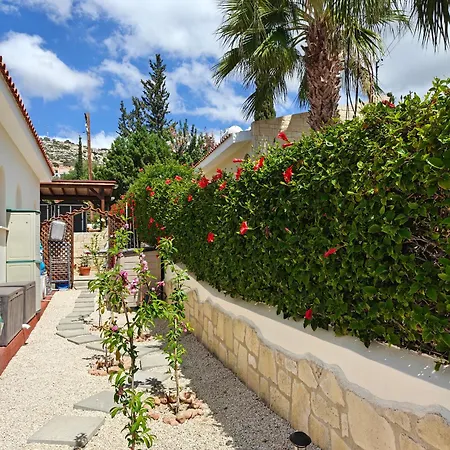 Holiday: Seafront Retreat With Pool In Paphos
